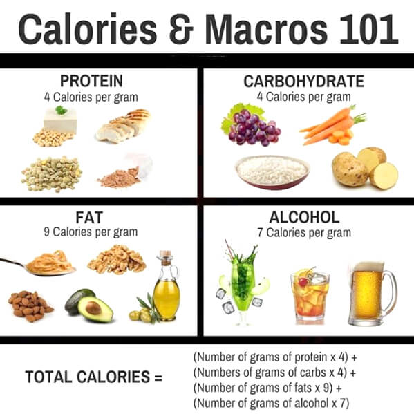 Calories & Macros 101! Healthy Fit Eat Tips 