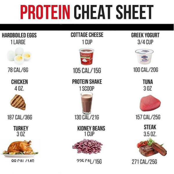 Protein Cheat Sheet! Healthy Fit Eating Tips 