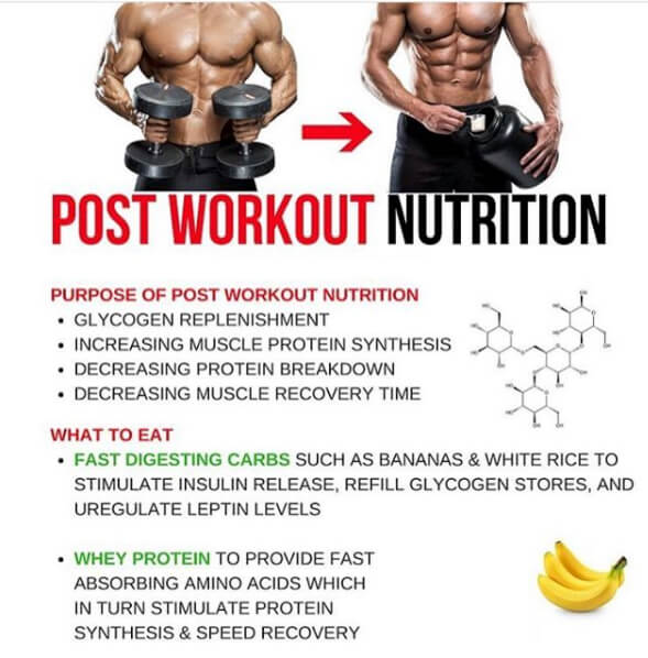 Post Workout Nutrition! Best Healthy Fit Eating Tips 