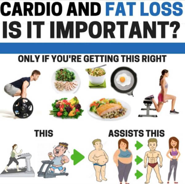 Cardio And Fat Loss Is It Important?! Healthy Fitness Tips