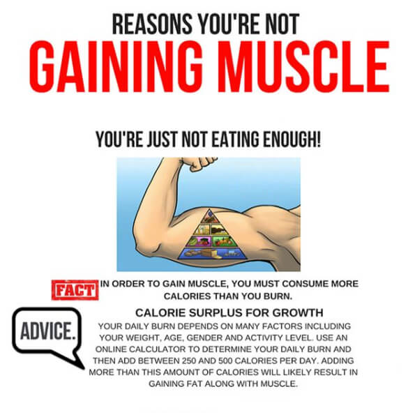Reasons You Are Not Gaining Muscle! Part 1 - Not Eating Enough