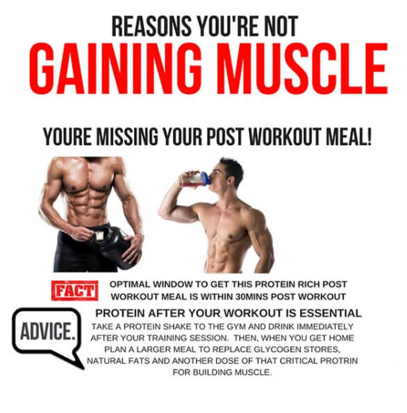 Reasons You Are Not Gaining Muscle! Part 2 - Missing Post Meal