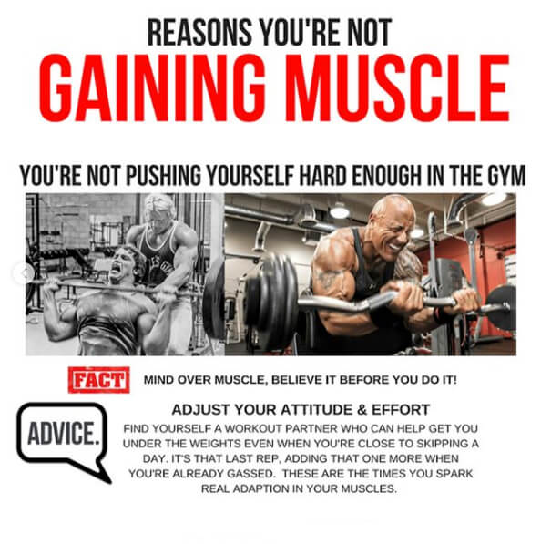 Reasons You Are Not Gaining Muscle! Part 4 - Not Pushing Hard 
