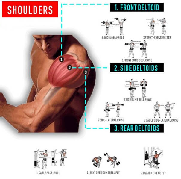 Amazing Shoulder Workout Plan! Train Your Arms Be Stronger