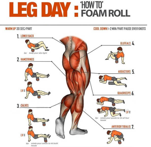 Leg Day: How To Foam Roll! Amazing Legs Training Plan