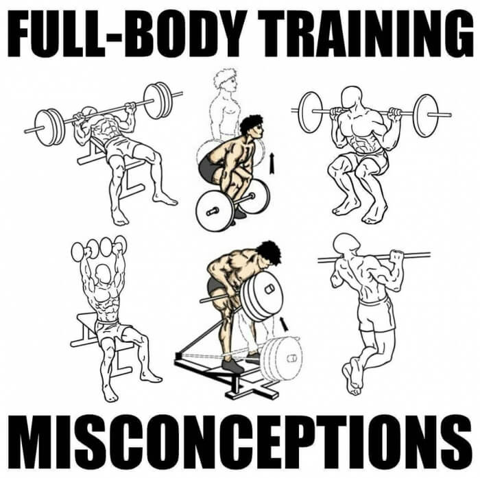 Full-Body Training Misconceptions! Must Read This Amazing Tips