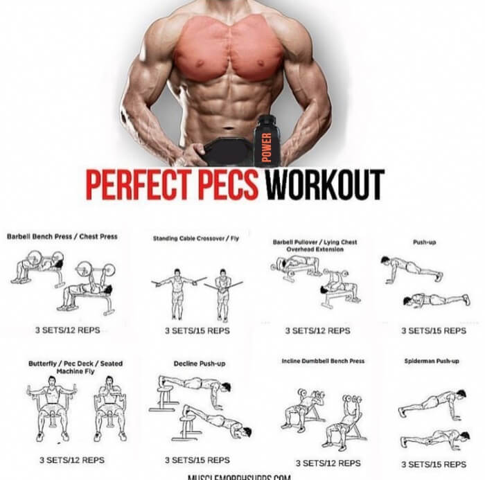 Perfect Pecs Workout! Best Chest Training Plan