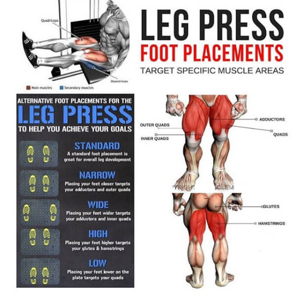 Leg Press Foot Placements! Healthy Fitness Training Plan Tips