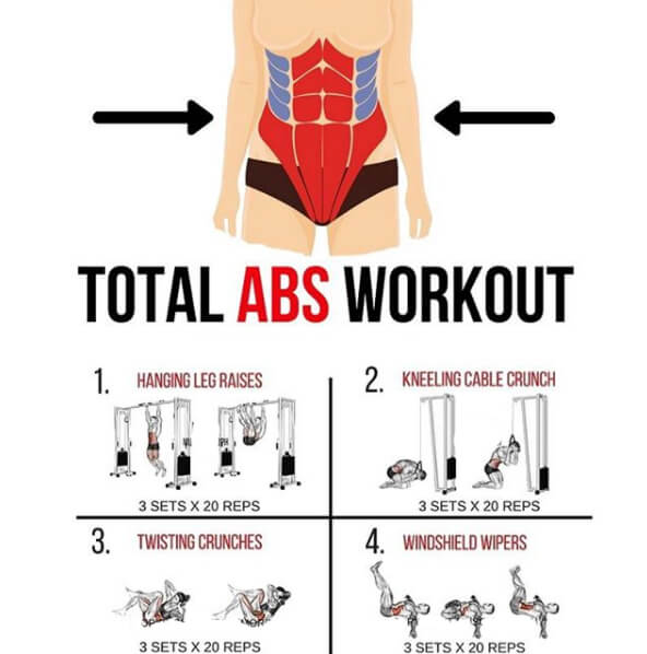Total Abs Workout Plan! Healthy Fitness Training Sixpack Ab