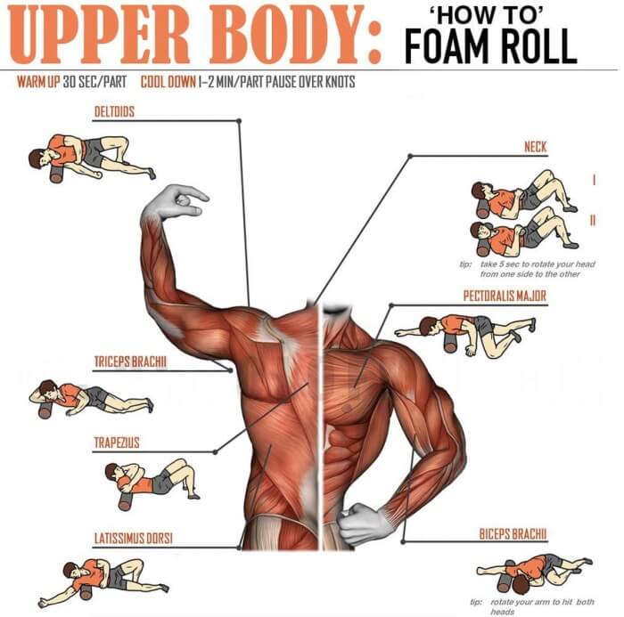 Upper Body! How To Foam Roll! Healthy Fitness Training Plan