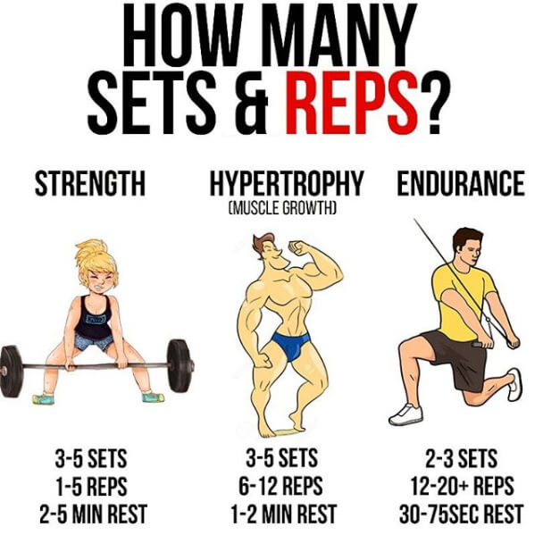 How Many Sets & Reps? For Strength, Hypertrophy or Endurance! - We Workout ! - Exercises & More