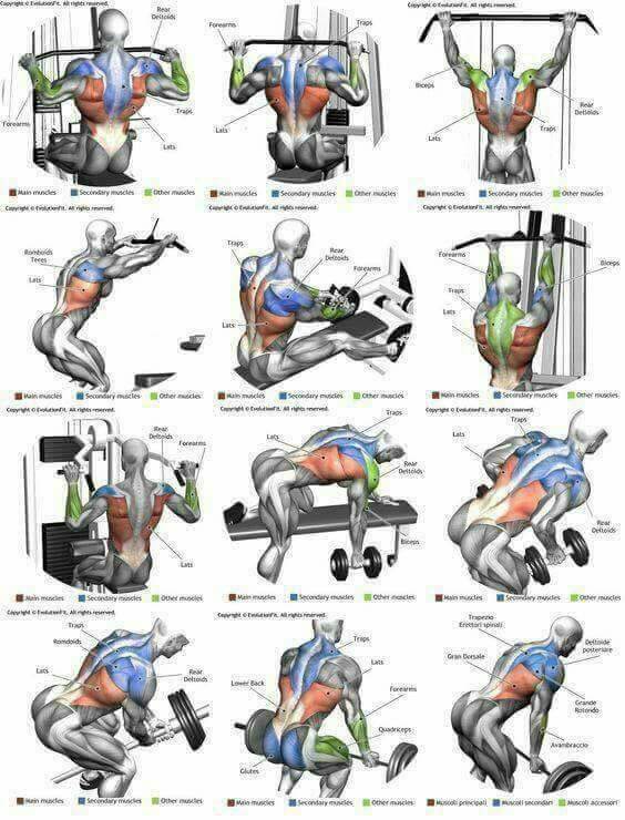 Best Of Back Exercises! Hardcore Lat Training Plan