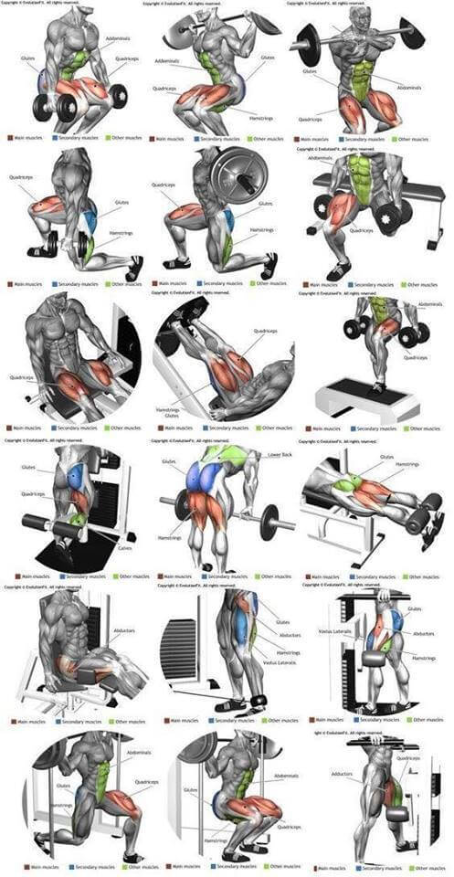 Best Of Leg Exercises! Hardcore Butt Training Plan