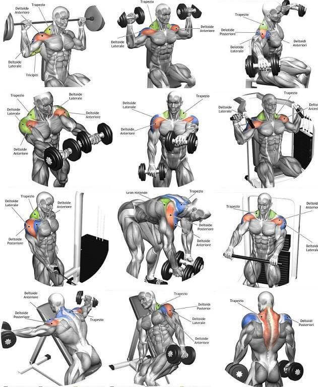 Best Of Shoulder Exercises! Hardcore Arm Training Plan