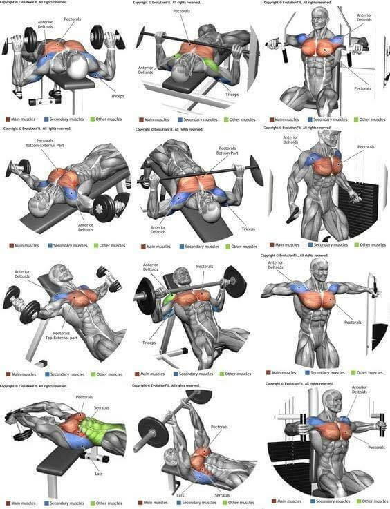 Best Of Chest Exercises! Hardcore Brust Training Plan