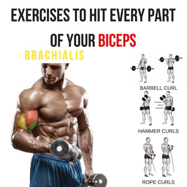 Brachialis Exercises To Hit Every Part Of Your Biceps! Arm Train
