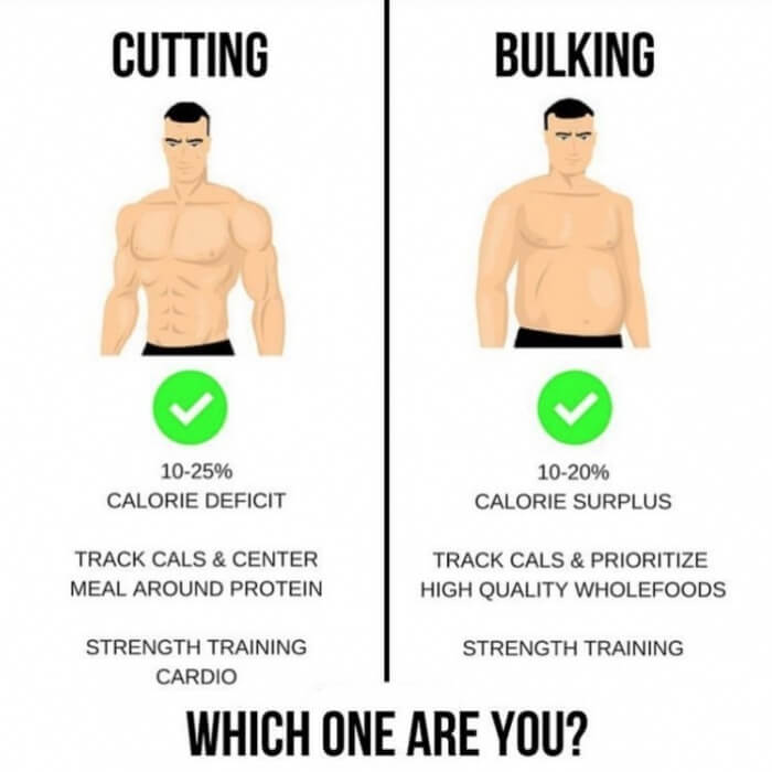 can 8 alternate bulking and cutting