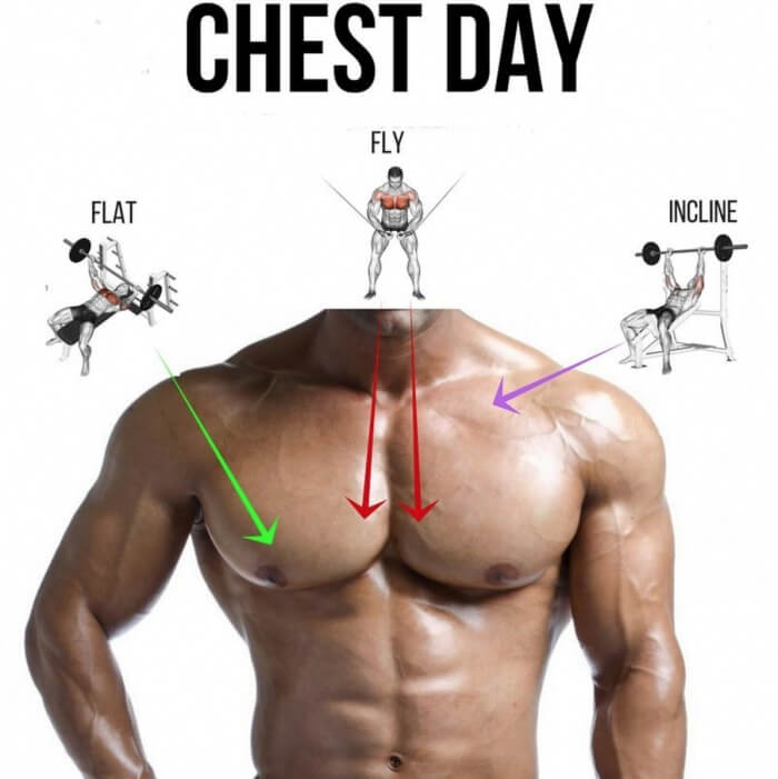 Chest Day! Best Workout Plan Flat Bank Fly Incline 