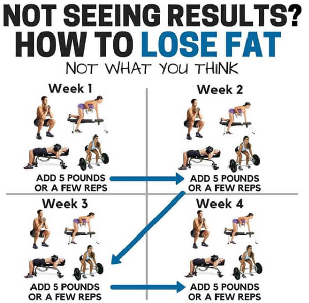 Not Seeing Results? How To Lose Fat! Must Read This..