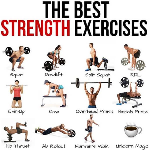 The Best Strength Exercises! What Do You Think? Must Read