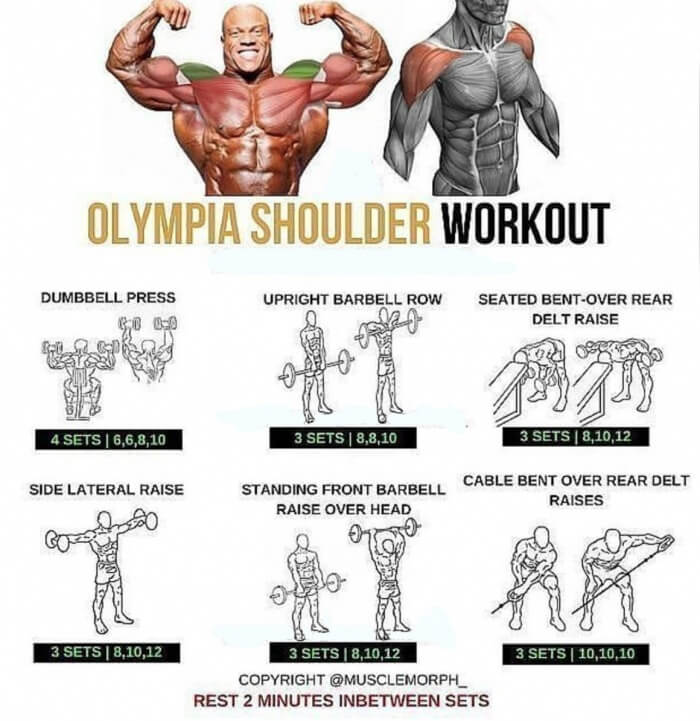 Olympia Shoulder Workout Plan! Best Shoulders