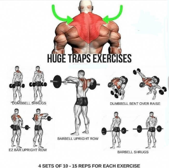 Huge Traps Exercises! Stronger Back Training