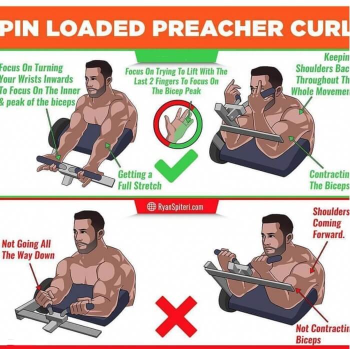 Pin Loaded Preacher Curl! Stronger Biceps Training Plan