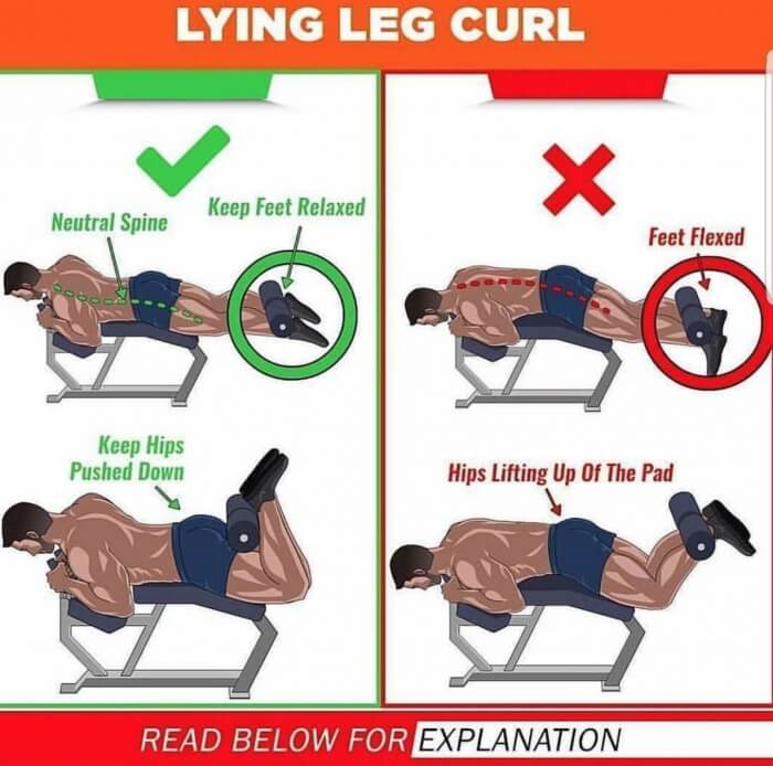 Lying Leg Curl! Stronger Legs Training Plan
