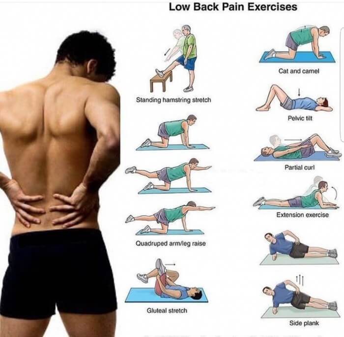 Low Back Pain Exercises! Amazing Training Tips For Back