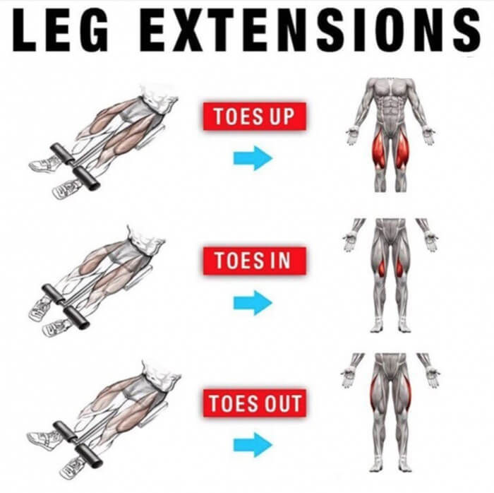 Leg Extensions! Stronger Legs Workout