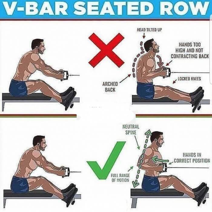 V-Bar Seated Row! Strong Lat And Back Exercises 