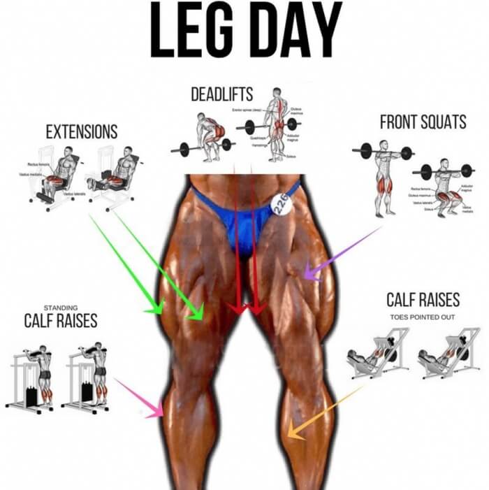 Hardcore Leg Day Exercises Workout Plan