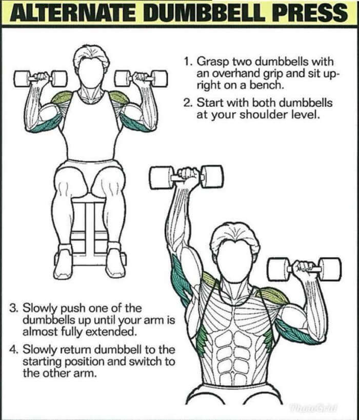 Best Shoulder Exercises 1: Alternate Dumbbell Press
