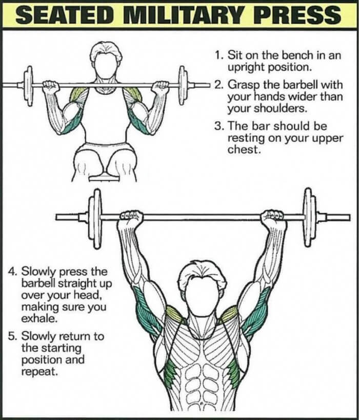 Best Shoulder Exercises 4: Seated Military Press