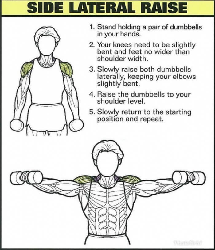 Best Shoulder Exercises 5: Side Lateral Raise