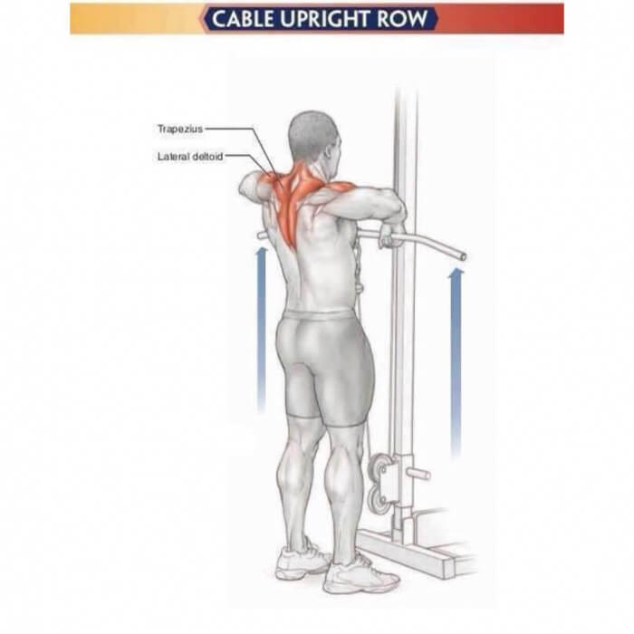 Amazing Shoulder Exercises 1: Cable Upright Row