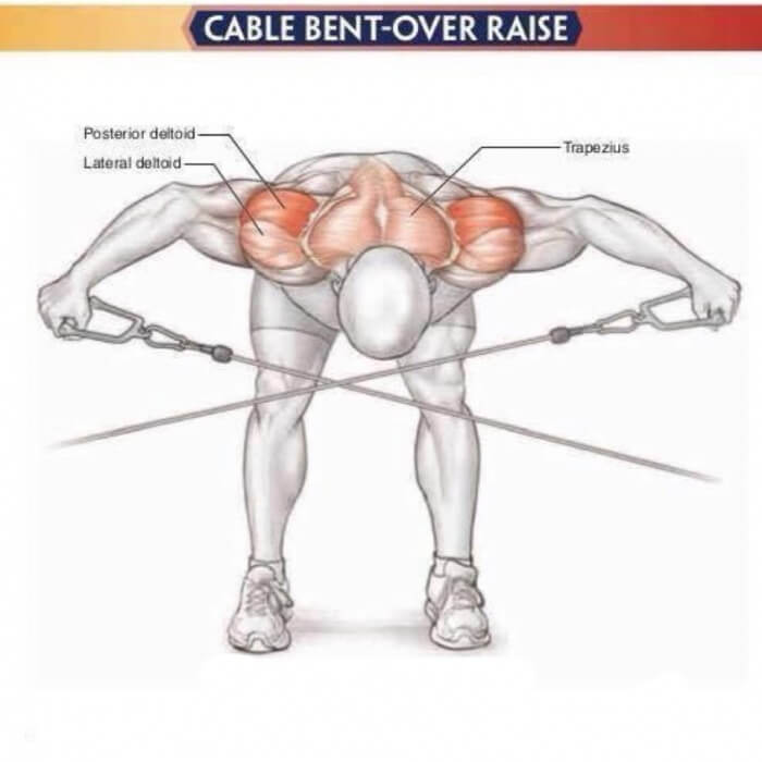 Amazing Shoulder Exercises 2: Cable Bent-Over Raise