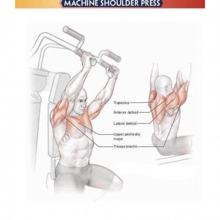 Amazing Shoulder Exercises 7: Machine Shoulder Press