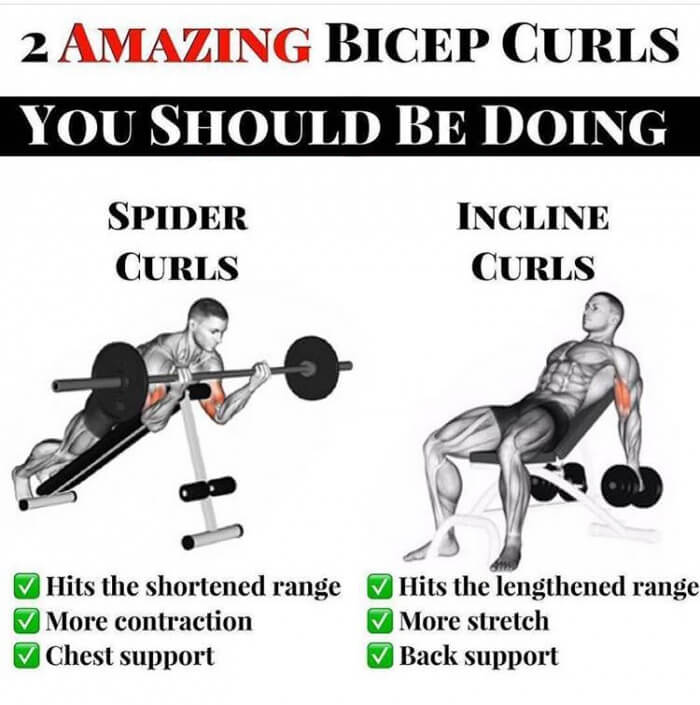 2 Amazing Bicep Curls You Should Be Doing! Arm Training Plan