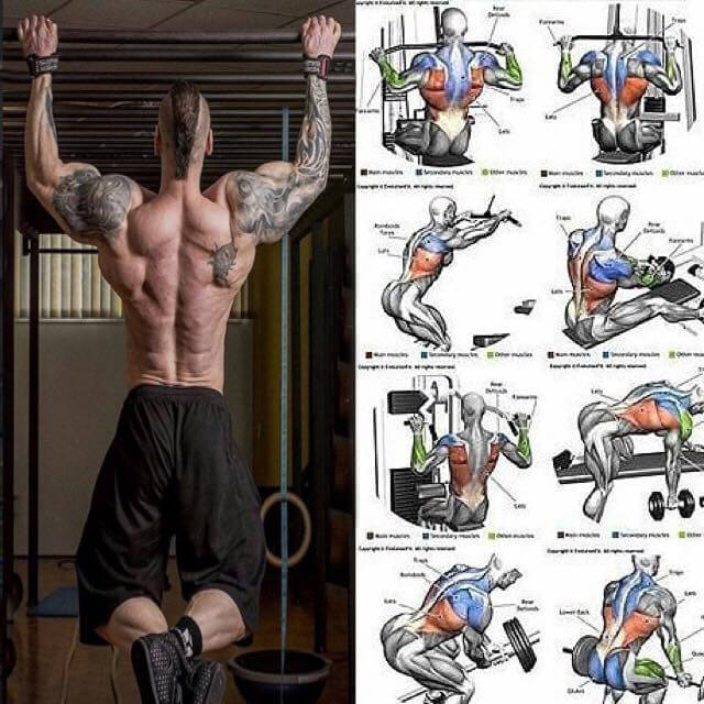 Strong Back Training! Lat Workout Healthy Life