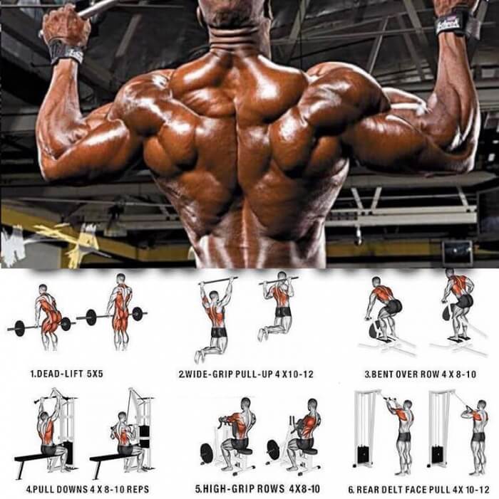 Stronger LAT Back Training Plan! Healthy Fitness