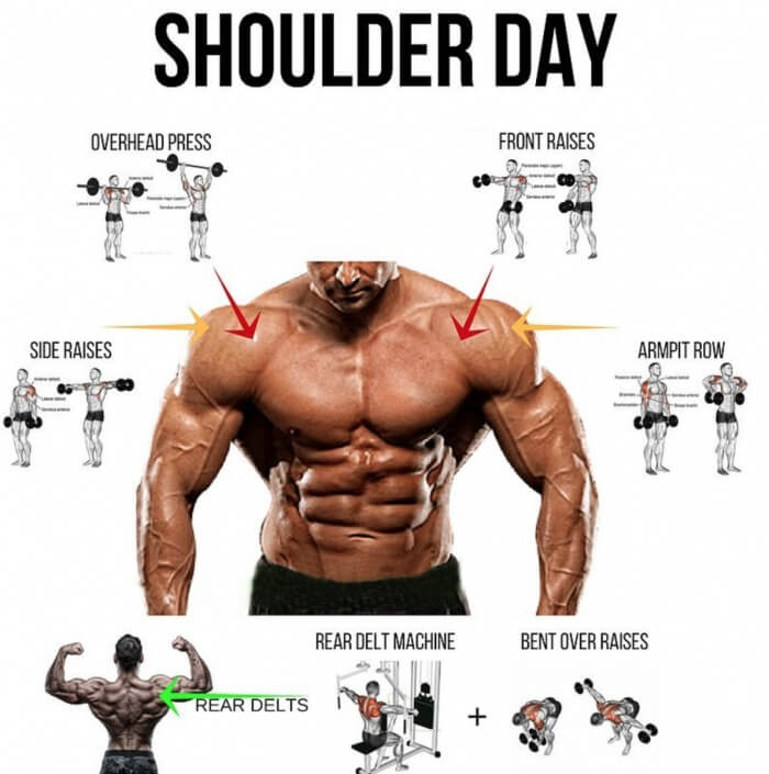 Bigger Shoulder Day! Healthy Fitness Workout Plan Training