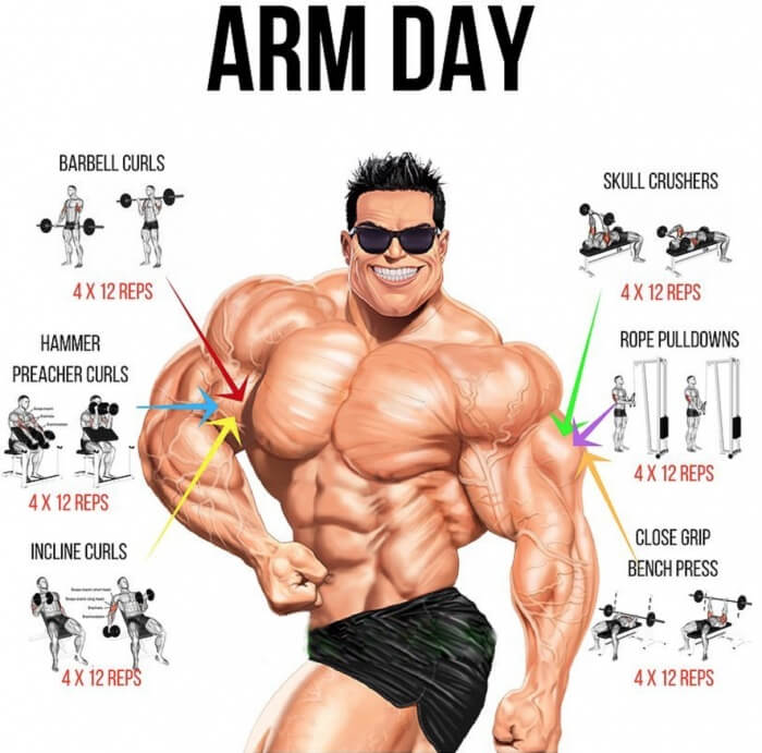 Bigger Arm Day! Healthy Fitness Workout Plan Training Arms