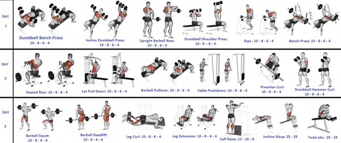 3 Days Training Plan! Healthy Fitness Workout