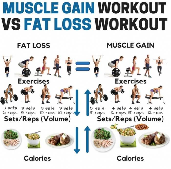 Muscle Gain Workout VS Fat Loss Workout! Healthy Fitness Tips