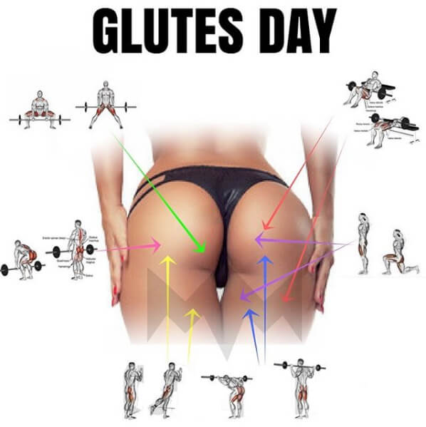 Glutes Day - Healthy Fitness Butt Workout Plan