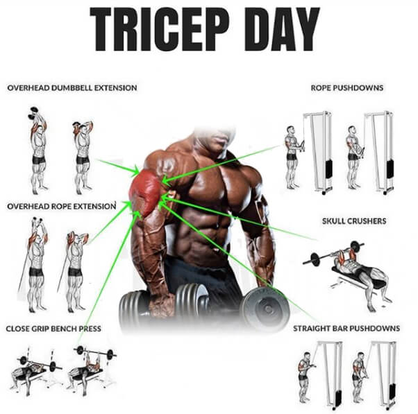 Tricep Day - Healthy Fitness Arm Workout Plan