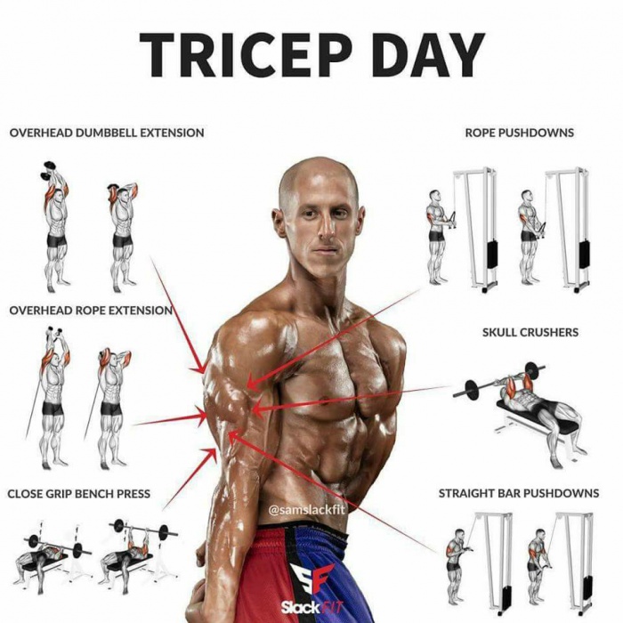 Tricep Day - Best Arm Workout Training Plans