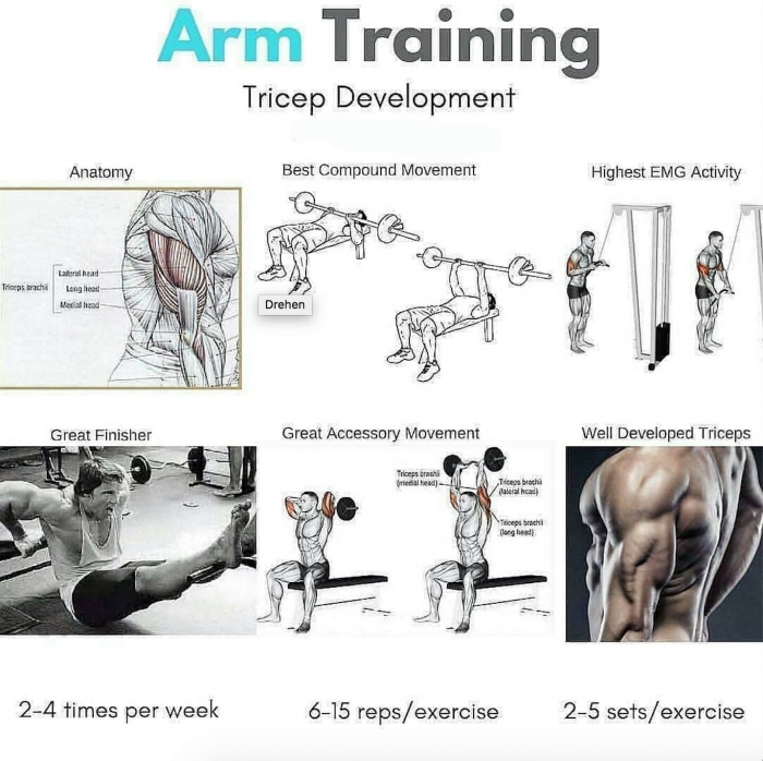 Arm Training Day: Tricep Development ! Healthy Fitness Workouts