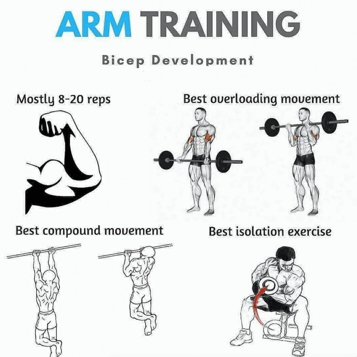 Arm Training Day: Bicep Development ! Healthy Fitness Workouts